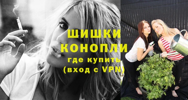 spice Вяземский