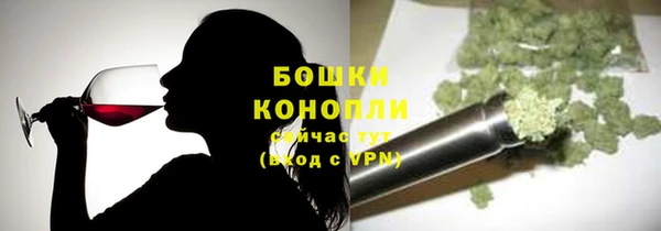 spice Вяземский