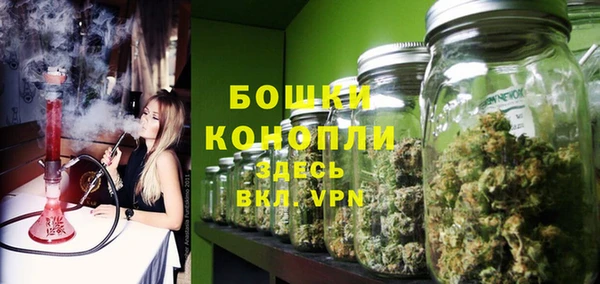 spice Вяземский