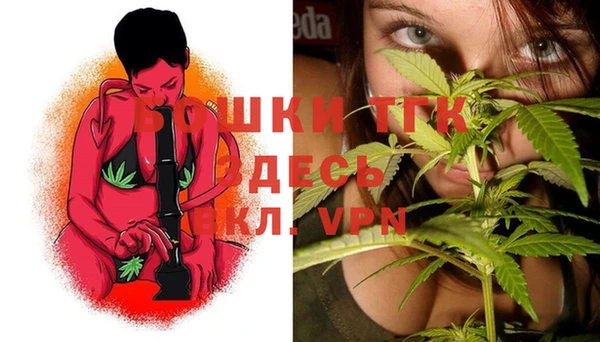 spice Вяземский