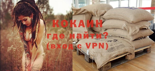 spice Вяземский