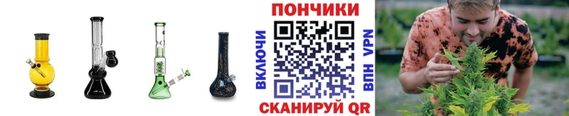 Купить где  Ильский  Каннабис план 